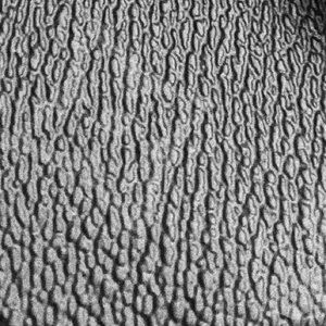 Meet your Posher, Alissa